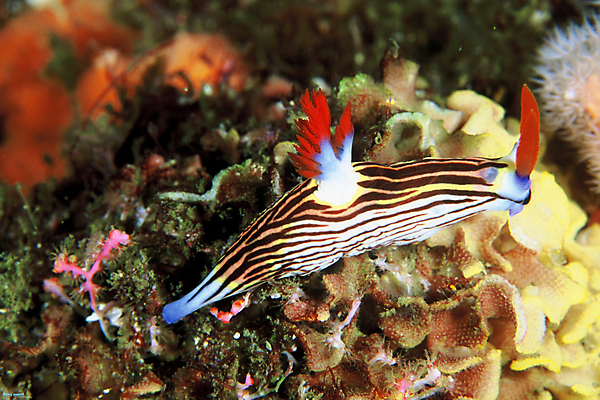 포토 JPG 해외이미지 바다 자연 사람없음 컬러풀 해외202004 해외포토 컬러 생태계 파일형식 이미지허브