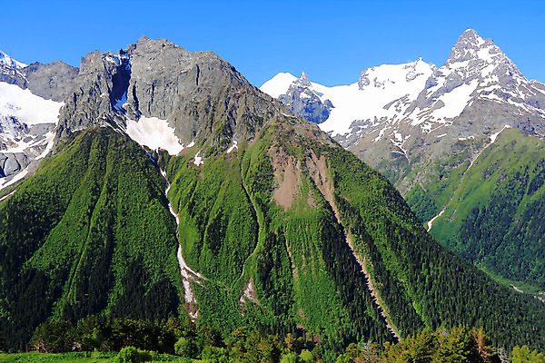 포토 JPG 해외이미지 나무 계절 유럽 여행 잎 자연 산 파노라마 풍경 경사 사람없음 야외 목재 초록색 얼음 추위 바위 흰색 정상 숲 고도 언덕 산등성이 빙하 서리 러시아 절정 로키산맥 해외202004 해외포토 자연요소 식물 나라 컬러 재료 촬영기법 생태계 파일형식 이미지허브