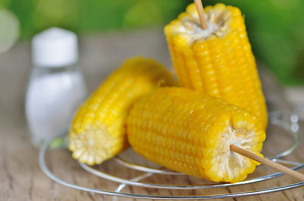 포토 JPG 해외이미지 음식 농업 다이어트 채소 과일 재료 자연 건강 옥수수 요리 씨앗 사람없음 목재 농작물 컬러풀 농장 노란색 식사 수확 신선 막대기 황금 달콤 맛 아침식사 수증기 낟알 시리얼 먹기 유기농 알맹이 날것 귀 내추럴 고립 꼬투리 끓이기 숙성 옛날 채식주의자 해외202004 해외포토 나무 식물 웰빙 산업 컬러 컨셉 모션 곡류 신체부위 생태계 채식 파일형식 이미지허브