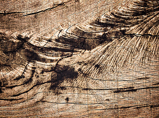 포토 JPG 해외이미지 디자인 선 벽 백그라운드 패턴 자연 표면 날씨 추상 사람없음 목재 갈색 수확 얼룩 거친 널 낟알 묘사 질감 복고 목공예 내추럴 그런지 수목 옛날 해외202004 해외포토 나무 컬러 무늬 농업 재료 공예 생태계 파일형식 이미지허브