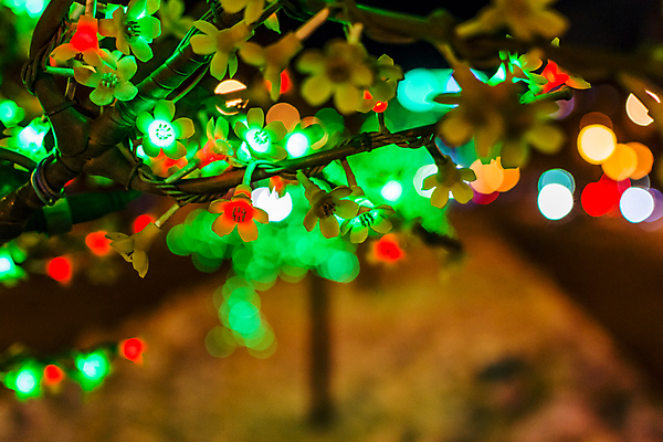 포토 JPG 해외이미지 나무 디자인 배너 계절 행복 백그라운드 크리스마스 겨울 패턴 추상 휴가 조명 새로움 기념 프레임 사람없음 장식 가로 빛 컬러풀 우주 축제 화환 어둠 수확 나뭇가지 시골 축하 신용카드 거친 널 정상 야간 연도 질감 복고 전나무 옛날 가문비나무 해외202004 해외포토 자연요소 식물 기념일 꽃 감정 컬러 컨셉 무늬 농업 금융 파일형식 이미지허브