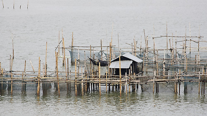 포토 JPG 해외이미지 산업 아시아 호수 야생동물 음식 바다 여행 백그라운드 패턴 농업 태국 자연 하늘 낚시 어류 풍경 사람없음 초록색 물 파란색 강 농장 환경 놀이방 연못 신선 업무 그물 보트 정사각형 낚시꾼 어장 수유 해외202004 해외포토 자연요소 도형 동물 나라 컬러 무늬 배_교통 레저 수중동물 작업 생태계 파일형식 이미지허브