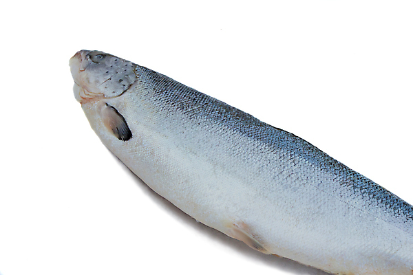 포토 JPG 해외이미지 음식 다이어트 건강 어류 사람없음 튀김 오브젝트 흰배경 연어 내추럴 고립 해외202004 해외포토 백그라운드 수중동물 흰색 파일형식 이미지허브