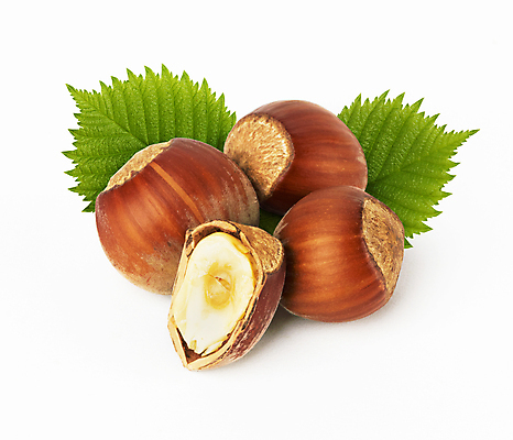 포토 JPG 해외이미지 나무 계절 음식 재료 부분 건강 씨앗 사람없음 초록색 갈색 힘 견과류 껍질 흰색 닫기 맛 먹기 오브젝트 유기농 호두 내추럴 개암나무 식용 어려움 개암 해외202004 해외포토 식물 웰빙 열매 컬러 컨셉 모션 파일형식 이미지허브