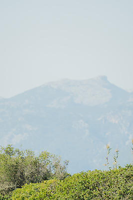 포토 JPG 해외이미지 나무 식물 구름 계절 밭 농업 조류 하늘 날씨 풍경 잔디 사람없음 야외 여름 빛 햇빛 태양 농장 환경 맑음 봄 수확 성장 가을 나뭇가지 시골 분위기 숲 땅 시리얼 허브 장면 내추럴 수평선 해외202004 해외포토 자연요소 동물 산업 음식 컨셉 파일형식 이미지허브