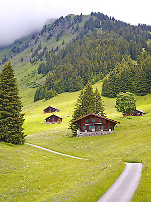 포토 JPG 해외이미지 나무 식물 구름 계절 꽃 유럽 도로 길 여행 건축양식 자국 자연 휴가 산 주택 풍경 사람없음 야외 목재 초록색 여름 컬러풀 농장 노란색 봄 안개 소나무 숲 오두막 오솔길 스위스 언덕 알프스 샬레 회복 해외202004 해외포토 자연요소 건축 나라 컬러 컨셉 농업 재료 교통시설 날씨 실험기구 건물 생태계 파일형식 이미지허브