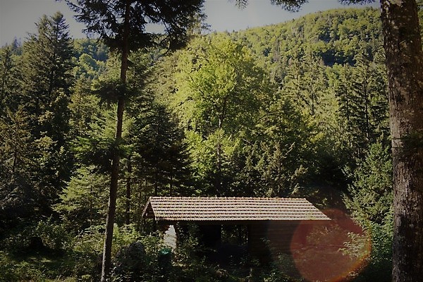 포토 JPG 해외이미지 나무 구름 계절 꽃 유럽 호수 여행 자연 하늘 휴가 산 풍경 사람없음 야외 물 여름 파란색 여행객 마을 계곡 맑음 하이킹 프랑스 흰색 신선 오픈 개울 숲 큼 언덕 배낭여행 산등성이 알프스 장면 샤모니 절정 해외202004 해외포토 자연요소 식물 나라 컬러 레저 날씨 사람 강 크기 생태계 파일형식 이미지허브