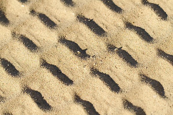 포토 JPG 해외이미지 모래 백그라운드 패턴 사람없음 여름 트랙 대각선 내추럴 규칙적 해외202004 해외포토 계절 선 컨셉 무늬 파일형식 이미지허브