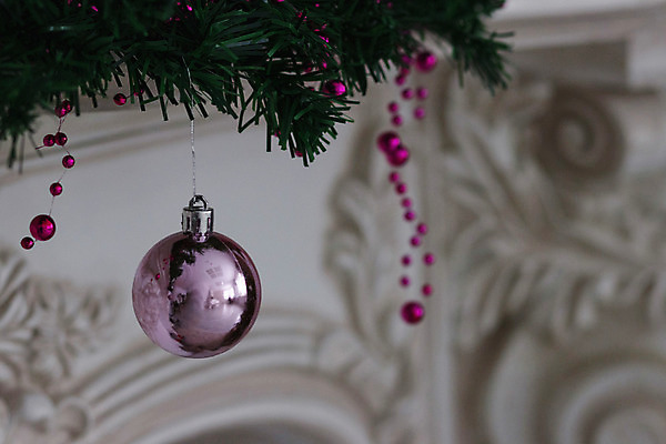 포토 JPG 해외이미지 나무 전통 디자인 계절 별 백그라운드 크리스마스 겨울 텍스트 공 휴가 새로움 선물 미술 사람없음 목재 장식 빨간색 초록색 빛 상자 크리스마스트리 우주 축제 침묵 장식볼 수확 흰색 나뭇가지 축하 인사 소나무 신용카드 화려 12월 연도 복고 전나무 엘리먼트 옛날 해외202004 해외포토 자연요소 식물 기념일 컬러 컨셉 농업 재료 문화예술 금융 소리 예절 날짜 파일형식 이미지허브