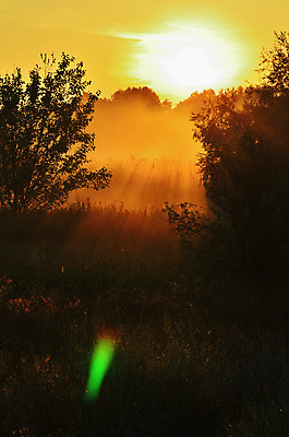 포토 JPG 해외이미지 나무 구름 여행 백그라운드 밭 자연 하늘 아침 조명 풍경 사람없음 여름 파란색 빛 햇빛 태양 노란색 일출 화목 황혼 일몰 봄 새벽 가을 소나무 황금 저녁 숲 깃털 스텝 몽환 수평선 해외202004 해외포토 주간 자연요소 식물 계절 컬러 컨셉 농업 노을 야간 생태계 파일형식 이미지허브