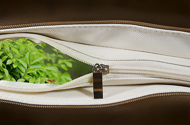 포토 JPG 해외이미지 나무 여행 컨셉 잎 가방 자연 아이디어 사람없음 갈색 여행객 이슬 관목 개미 지퍼 해외202004 해외포토 식물 잡화 컬러 곤충 사람 생태계 파일형식 이미지허브