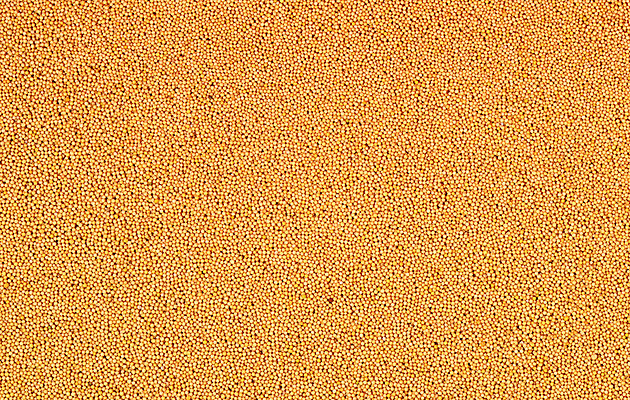 포토 JPG 해외이미지 음식 백그라운드 농업 오렌지 재료 유리 건조 요리 씨앗 사람없음 목재 옆모습 빨간색 갈색 노란색 쌓기 우주 흰색 양념 조미료 사발 냄비 정상 낟알 자르기 인도인 머스터드 향신료 유기농 날것 냄새 아로마 점토 향 흙더미 내추럴 고립 해외202004 해외포토 외국인 나무 식물 웰빙 산업 뷰포인트 컬러 과일 모션 재질 동양인 흙 사기그릇 소스_음식 솥 향미료 파일형식 더미 이미지허브