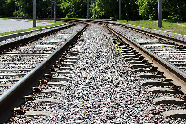 포토 JPG 해외이미지 나무 도로 길 여행 백그라운드 잎 자연 거리 풍경 사람없음 초록색 여름 환경 침묵 기차 가을 기둥 신선 파편 숲 통로 장면 철사 내추럴 깊이 되감기 방법 선로 특별함 해외202004 해외포토 식물 계절 건축 육상교통 컬러 컨셉 교통시설 대중교통 소리 생태계 파일형식 이미지허브