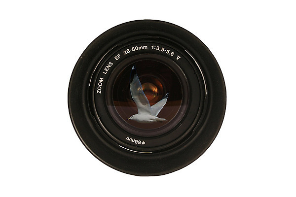 포토 JPG 해외이미지 유리 사람없음 카메라 디지털 검은색 사진촬영 장비 흰색 구멍 필름 셔터 고립 해외202004 해외포토 컬러 재질 전자제품 촬영 파일형식 이미지허브