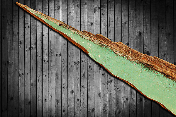 포토 JPG 해외이미지 나무 디자인 외관 벽 백그라운드 잎 패턴 자연 탁자 표면 날씨 바닥 그림자 사람없음 목재 장식 수확 시골 기둥 소나무 판넬 얼룩 구멍 거친 널 낟알 방향 타일 책상 사인 질감 복고 목공예 그런지 떠남 수목 옛날 파케트 해외202004 해외포토 식물 건축 가구 무늬 농업 재료 모션 공예 생태계 파일형식 이미지허브