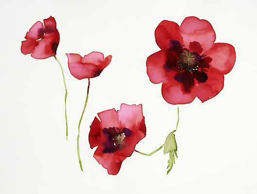 JPG 해외이미지 식물 꽃 꽃다발 일러스트 붓터치 수채화 사람없음 그림 번짐 해외202004 해외일러스트 파일형식 효과 이미지허브