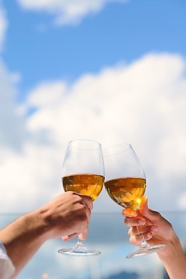 포토 JPG 해외이미지 주간 손 주류 들기 야외 신체부위 와인 건배 해외202004 해외포토 자연요소 음료 모션 사람 파일형식 이미지허브