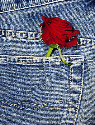 포토 JPG 해외이미지 옷 꽃 사람없음 빨간색 파란색 장미 청바지 주머니 해외202004 해외포토 식물 컬러 바지 파일형식 이미지허브