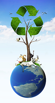 포토 JPG 해외이미지 식물 동물 디자인 나비 컨셉 잎 자연 조류 사슴 화살 안전 사람없음 그래픽 초록색 세계 환경 치킨 재활용 에너지 토끼 호랑이 보호 심볼 사인 에코 생태계 순환 재활용품 타조 내추럴 생태학 해외202004 해외포토 교육 컬러 곤충 포유류 모션 반려동물 친환경 닭고기요리 파일형식 이미지허브