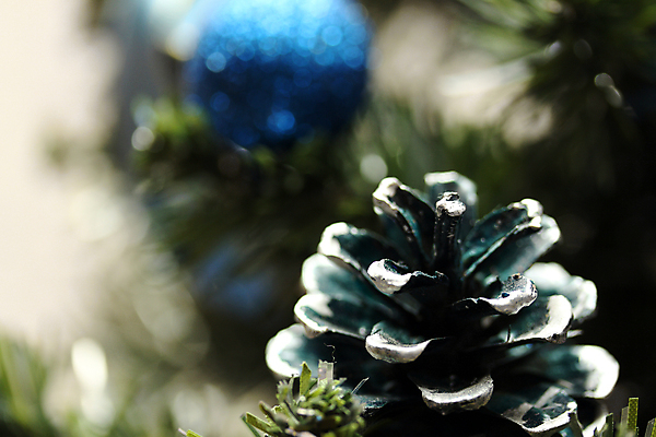 포토 JPG 해외이미지 디자인 계절 실루엣 선 백그라운드 크리스마스장식 크리스마스 겨울 일러스트 추상 휴가 새로움 새해 프레임 선물 사람없음 장식 빨간색 쇼핑 상자 파티 냉동 추위 달력 흰색 축하 인사 눈송이 생일 12월 연도 질감 고립 그런지 마케팅 해외202004 해외포토 기념일 컬러 컨셉 무늬 눈_날씨 촬영기법 이벤트 예절 날짜 파일형식 이미지허브