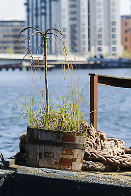 포토 JPG 해외이미지 나무 식물 꽃 여행 자연 덴마크 풍경 사람없음 물 강 반사 도시 향수 랜드마크 코펜하겐 해외202004 해외포토 자연요소 북유럽 화장품 생태계 파일형식 이미지허브