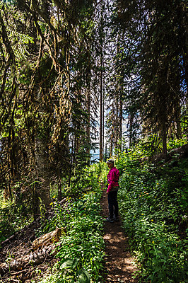 포토 JPG 해외이미지 나무 옷 공원 여자 꽃 도로 길 여행 신발 캐나다 자연 거리 한명 사람 야외 초록색 컬러풀 산책 하이킹 숲 사인 단계 양발 혼자 그리너리 해외202004 해외포토 식물 1 공공시설 컬러 북아메리카 교통시설 레저 휴식 생태계 파일형식 트랜드컬러 이미지허브