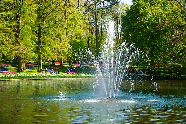 포토 JPG 해외이미지 나무 식물 외관 계절 공원 꽃 유럽 길 호수 여행 백그라운드 꽃무늬 자연 건조 풍경 사람없음 야외 장식 초록색 물 여름 컬러풀 정원 봄 튤립 물방울 나뭇가지 연못 5월 분수 네덜란드 원예 운하 수선화 해외202004 해외포토 자연요소 공공시설 나라 컬러 무늬 취미 날짜 생태계 파일형식 이미지허브