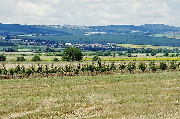 포토 JPG 해외이미지 농업 자연 하늘 풍경 사람없음 여름 농장 농경지 우주 목장 수확 성장 시골 땅 수평선 해외202004 해외포토 계절 산업 생태계 파일형식 이미지허브