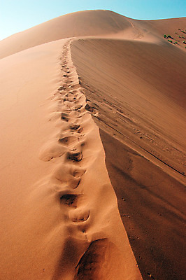 포토 JPG 해외이미지 주간 풍경 사람없음 야외 갈색 사막 발자국 모래언덕 해외202004 해외포토 자연요소 컬러 자국 언덕 파일형식 이미지허브