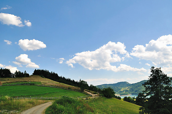 포토 JPG 해외이미지 나무 구름 도로 길 밭 자연 하늘 산 풍경 사람없음 야외 초록색 여름 파란색 햇빛 걷기 맑음 흰색 시골 작음 언덕 방법 해외202004 해외포토 자연요소 식물 계절 컬러 농업 교통시설 모션 날씨 태양 크기 생태계 파일형식 이미지허브
