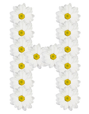 포토 JPG 해외이미지 식물 캐릭터 디자인 알파벳 꽃 꽃다발 백그라운드 꽃무늬 텍스트 자연 창조 사람없음 장식 노란색 정원 맑음 봄 활발 벚꽃 흰색 신선 우아함 편지 심볼 데이지 냄새 타입 고립 스타일 해외202004 해외포토 영어 계절 컬러 컨셉 무늬 날씨 생태계 파일형식 이미지허브