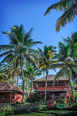 포토 JPG 해외이미지 나무 아시아 섬 여행 잎 자연 휴가 휴식 주택 손바닥 풍경 여러명 사람없음 야외 건물 초록색 물 여름 평화 마을 환경 바위 오두막 인도인 시골집 휴양지 코코넛 방갈로 이국적 케랄라주 파라다이스 그리너리 해외202004 해외포토 자연요소 외국인 식물 건축물 손 계절 나라 컬러 다수 컨셉 과일 숙소 사람 동양인 장소 돌_바위 인도_나라 생태계 파일형식 트랜드컬러 이미지허브
