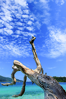 포토 JPG 해외이미지 주간 나무 구름 모래 파도 바다 섬 잎 태국 하늘 휴가 산 파노라마 그림자 사람없음 목재 초록색 물 여름 파란색 컬러풀 햇빛 반사 활발 바위 신선 그늘 질감 스카이라인 마디 강렬 깊이 수목 수평선 해외202004 해외포토 자연요소 식물 계절 아시아 컬러 컨셉 재료 촬영기법 태양 돌_바위 파일형식 이미지허브