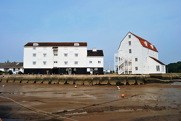 포토 JPG 해외이미지 조류 사람없음 건물 목재 강가 썰물 진흙 방앗간 해외202004 해외포토 나무 동물 건축물 바다 재료 강 파일형식 이미지허브