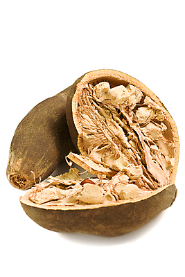 포토 JPG 해외이미지 나무 식물 2 과일 씨앗 사람없음 갈색 견과류 껍질 흰색 오픈 큼 고립 깨짐 꼬투리 해외202004 해외포토 컬러 컨셉 크기 파일형식 이미지허브