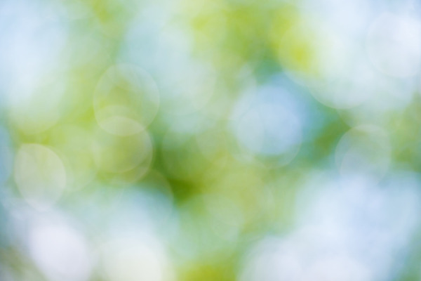 포토 JPG 해외이미지 템플릿 디자인 계절 백그라운드 컨셉 잎 크리스마스 패턴 자연 벽지 하늘 추상 사람없음 야외 초록색 빛 컬러풀 우주 환경 봄 활발 성장 흰색 신선 원형 소프트포커스 에코 질감 보케 부드러움 빛망울 광 블러 생태학 효과 해외202004 해외포토 도형 식물 교육 기념일 컬러 무늬 촬영기법 감각 생태계 파일형식 이미지허브