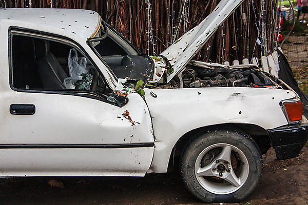 포토 JPG 해외이미지 나무 창문 자동차 유리 바람 거리 안전 사람없음 손상 나뭇가지 균열 수리 위험 충돌 사건 폭풍 보험 깨짐 자동 주장 비용 해외202004 해외포토 자연요소 식물 육상교통 컨셉 모션 재질 날씨 경제 파일형식 이미지허브