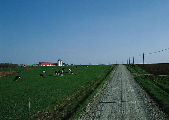 포토 JPG 해외이미지 나무 식물 구름 계절 공원 도로 길 여행 백그라운드 밭 오렌지 자연 하늘 날씨 풍경 잔디 사람없음 야외 초록색 여름 빛 햇빛 태양 농장 노란색 평화 일출 환경 정원 맑음 일몰 흙 봄 안개 광선 흰색 시골 신선 떨어짐 숲 땅 언덕 장면 넘어짐 땅바닥 방법 생태학 수평선 해외202004 해외포토 자연요소 공공시설 교육 컬러 컨셉 농업 과일 교통시설 모션 바닥 노을 생태계 파일형식 이미지허브