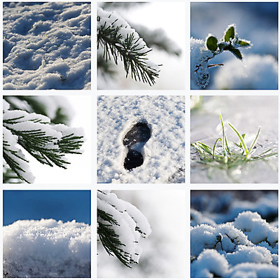 포토 JPG 해외이미지 나무 식물 계절 공원 꽃 도로 길 조각 백그라운드 크리스마스 겨울 벤치 자연 날씨 풍경 사람없음 물 파란색 평화 정원 얼음 추위 흰색 나뭇가지 눈송이 떨어짐 숲 크리스탈 묘사 질감 서리 장면 온도 모음 단계 1월 내추럴 눈내림 해외202004 해외포토 자연요소 공공시설 기념일 컬러 컨셉 의자 교통시설 눈_날씨 한글 날짜 광석 생태계 파일형식 이미지허브