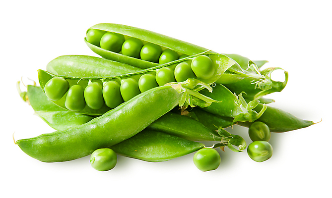 포토 JPG 해외이미지 음식 농업 채소 재료 가족 자연 콩 건강 요리 사람없음 초록색 여름 컬러풀 저녁식사 수확 신선 그룹 달콤 맛 설탕 먹기 완두콩 날것 고립 꼬투리 밭일 숙성 많음 해외202004 해외포토 계절 산업 컬러 컨셉 관계 모션 곡류 식사 생태계 파일형식 이미지허브