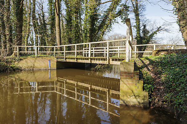 포토 JPG 해외이미지 나무 식물 난간 자연 선반 이끼 풍경 사람없음 야외 목재 물 농작물 강 맑음 페인트 봄 나뭇가지 개울 숲 갑판 네덜란드 폐허 수로 배수구 건너기 기간 썩음 옛날 해외202004 해외포토 자연요소 계절 유럽 가구 농업 배_교통 재료 모션 날씨 생태계 파일형식 이미지허브