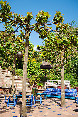 포토 JPG 해외이미지 나무 벤치 동양인 사람없음 야외 파란색 정원 등불 동쪽 해외202004 해외포토 식물 컬러 의자 조명 인종 방향 파일형식 이미지허브