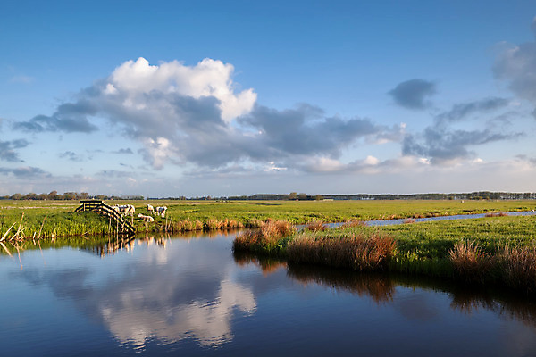 포토 JPG 해외이미지 구름 밭 자연 하늘 아침 풍경 사람없음 야외 초록색 물 파란색 강 햇빛 농장 농경지 반사 맑음 흰색 시골 양 네덜란드 운하 목가 해외202004 해외포토 주간 자연요소 유럽 컬러 농업 포유류 날씨 태양 생태계 파일형식 이미지허브