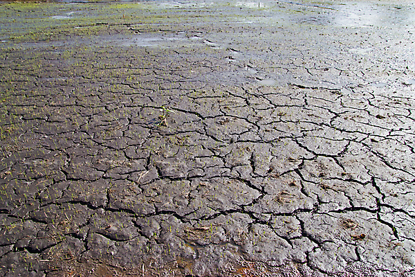 포토 JPG 해외이미지 지구 백그라운드 자연 표면 건조 사람없음 야외 글로벌 환경 땅 부식 에코 진흙 가뭄 땅바닥 재앙 해외202004 해외포토 날씨 바닥 생태계 파일형식 이미지허브