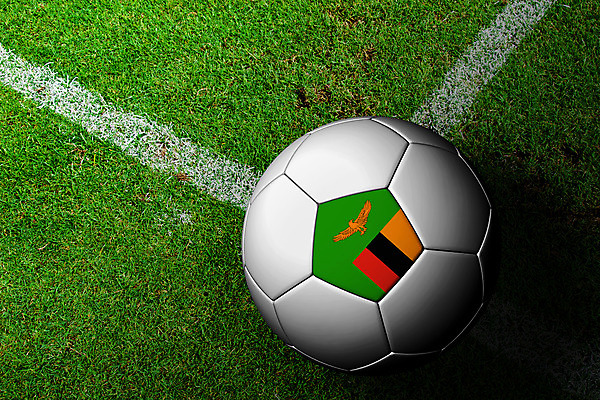 포토 JPG 해외이미지 식물 배너 계절 스포츠 백그라운드 밭 공 아프리카 자연 놀이 하늘 풍경 사람없음 야외 초록색 여름 운동 환경 맑음 검은색 축구 경쟁 장비 게임 신선 야간 점수 내추럴 잠비아 챔피언 토너먼트 헤딩 해외202004 해외포토 자연요소 나라 컬러 컨셉 농업 날씨 건강 구기 생태계 파일형식 이미지허브