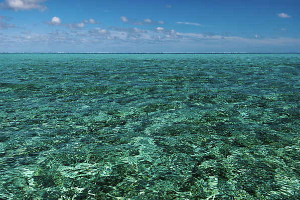 포토 JPG 해외이미지 휴가 휴식 사람없음 초록색 파란색 평화 침묵 플랫 암초 인도양 파라다이스 해외202004 해외포토 바다 컬러 컨셉 소리 파일형식 이미지허브