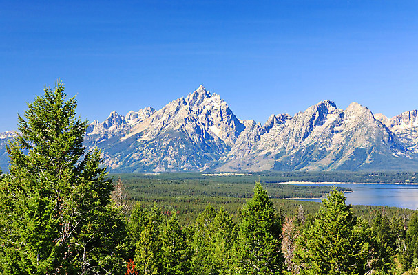 포토 JPG 해외이미지 나무 공원 여행 자연 하늘 아침 산 사람없음 파란색 반사 여행객 일출 맑음 호기심 내추럴 와이오밍 전국 해외202004 해외포토 주간 식물 공공시설 감정 컬러 컨셉 날씨 사람 노을 생태계 파일형식 이미지허브