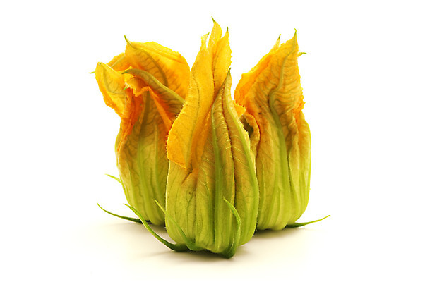 포토 JPG 해외이미지 스튜디오촬영 꽃 음식 재료 사람없음 노란색 벚꽃 닫기 자르기 흰배경 고립 정물화 주키니 주키니호박 해외202004 해외포토 식물 컬러 백그라운드 모션 실내 흰색 그림 파일형식 이미지허브