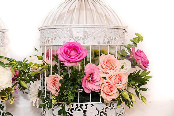 포토 JPG 해외이미지 접시 디자인 꽃 꽃다발 결혼 꽃무늬 결혼식 휴가 선물 사랑 이벤트 사람없음 장식 장미 파티 요식업 식당 화환 희망 벚꽃 흰색 나뭇가지 축하 화려 고급 우아함 배열 서비스 새장 설정 옛날 접수 정중 파스텔톤 해외202004 해외포토 나무 식물 식기 감정 산업 컬러 컨셉 무늬 상점 케이지 파일형식 이미지허브