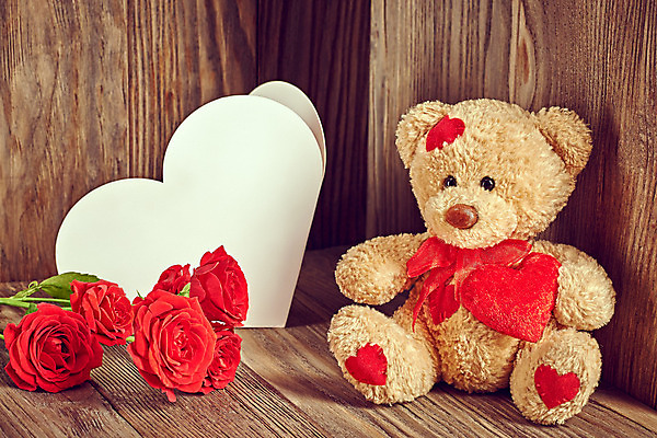 포토 JPG 해외이미지 종이 꽃다발 발렌타인데이 선물 사랑 사람없음 빨간색 장미 쪽지 곰인형 하트 해외202004 해외포토 모양 꽃 감정 인형 컬러 데이이벤트 파일형식 이미지허브